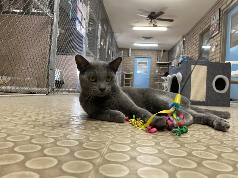 Sebastian thumbnail 5