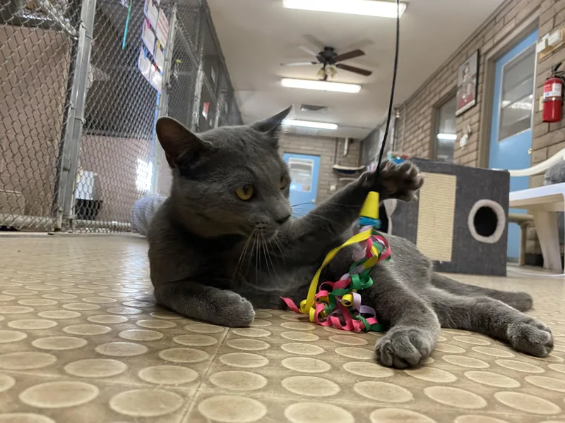 Sebastian thumbnail 6