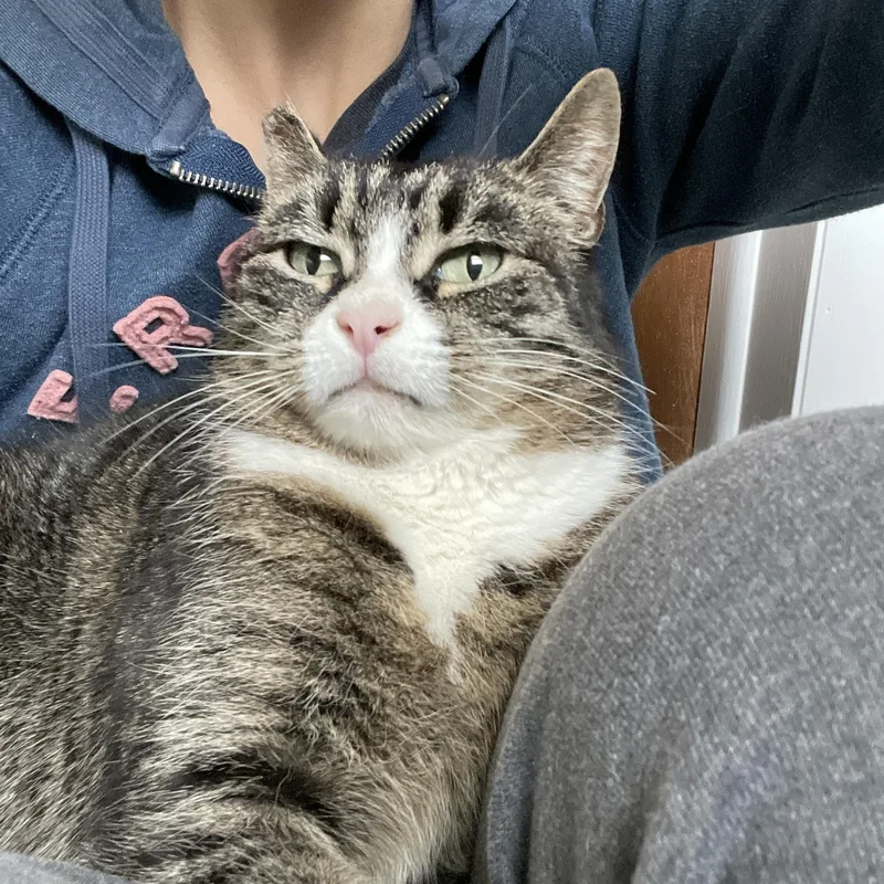 Valentina thumbnail 2