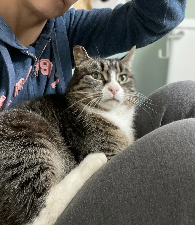 Valentina thumbnail 3