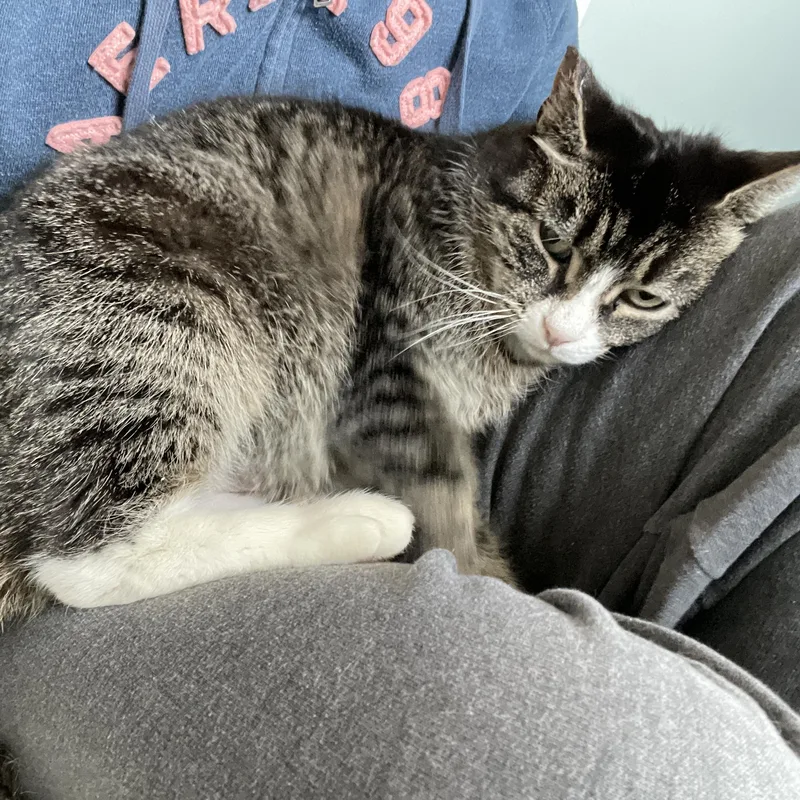 Valentina thumbnail 4