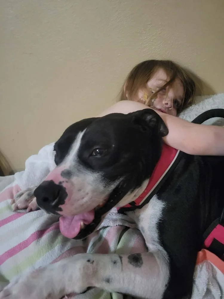 Sir Wagsalot 💜 A thumbnail 5