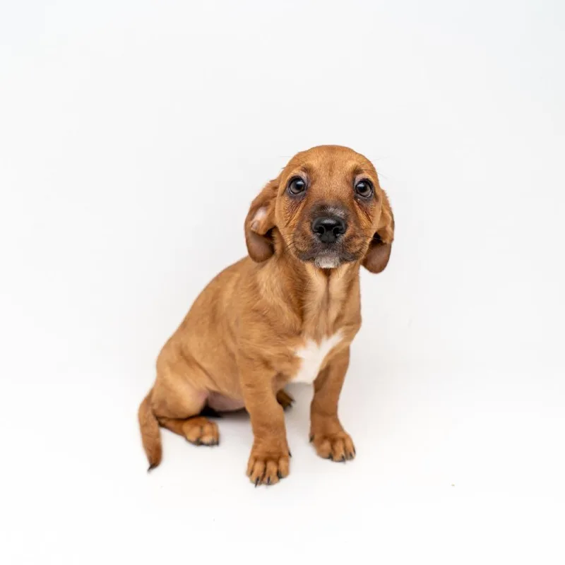 Clam Chowdah photo 1