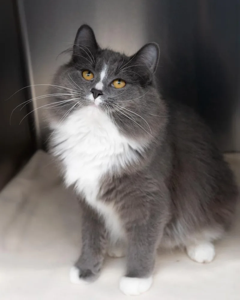 Sissy Bonded With Sam