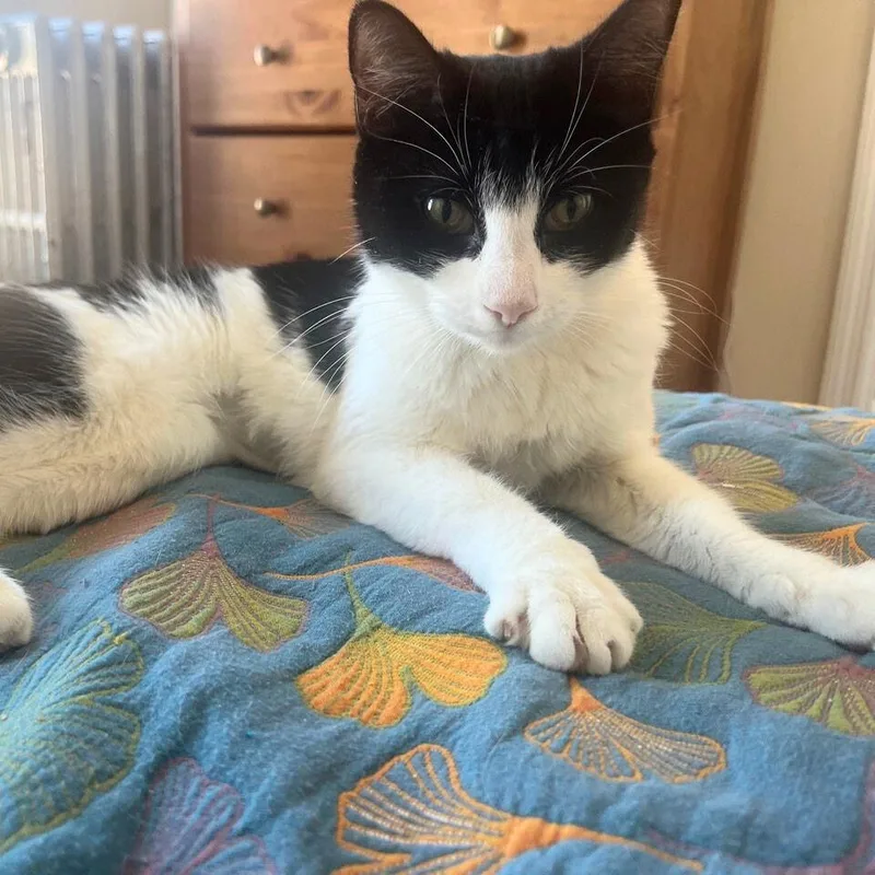 Pnina & Sirena thumbnail 3