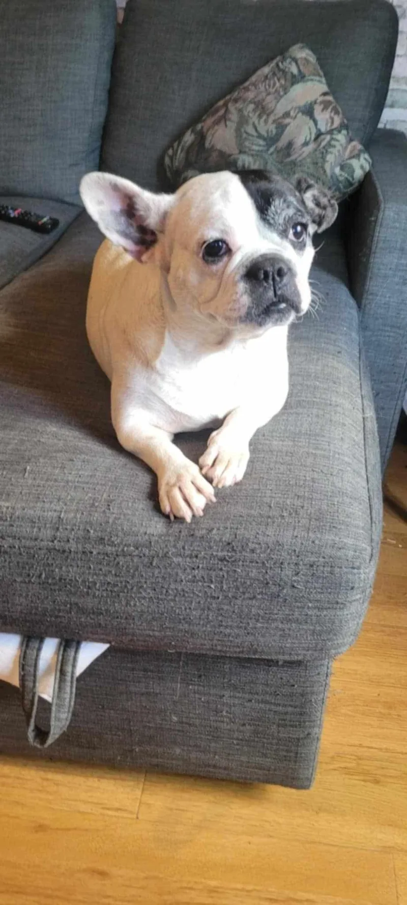 Charlotte thumbnail 2