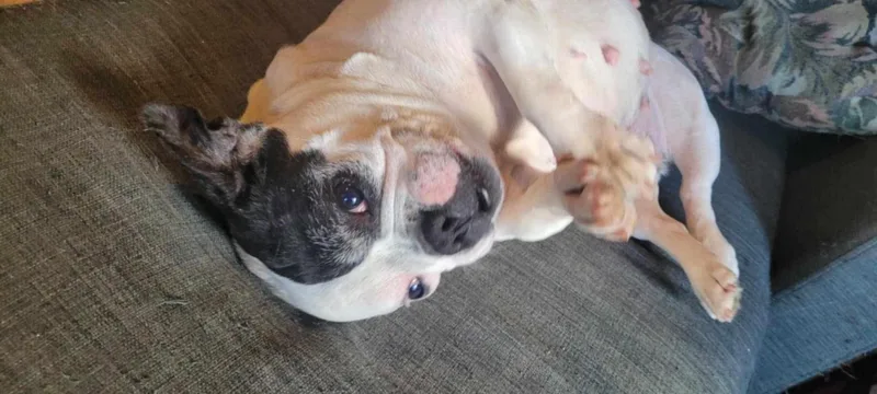 Charlotte thumbnail 3