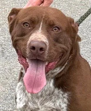 Beetlejuice thumbnail 2