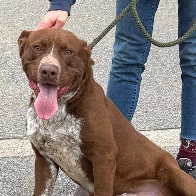 Beetlejuice thumbnail 3