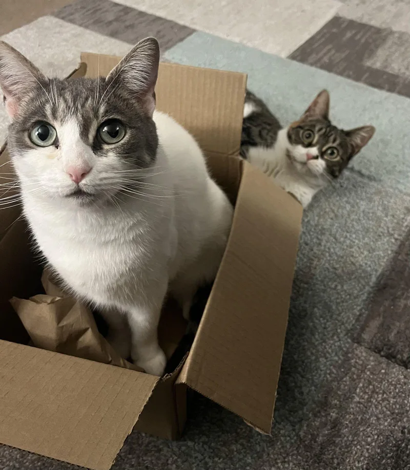 Lily & Daisy thumbnail 3