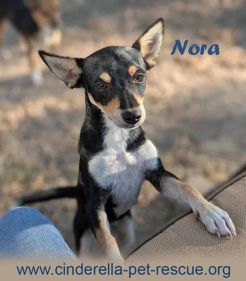 Nora thumbnail 3
