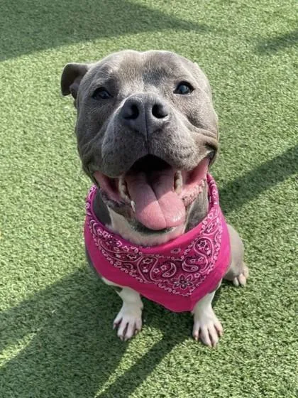 Kingston thumbnail 2