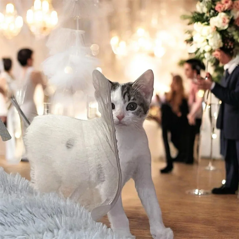 Corfu & Sahara thumbnail 4