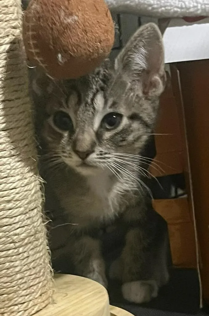 Corfu & Sahara thumbnail 5