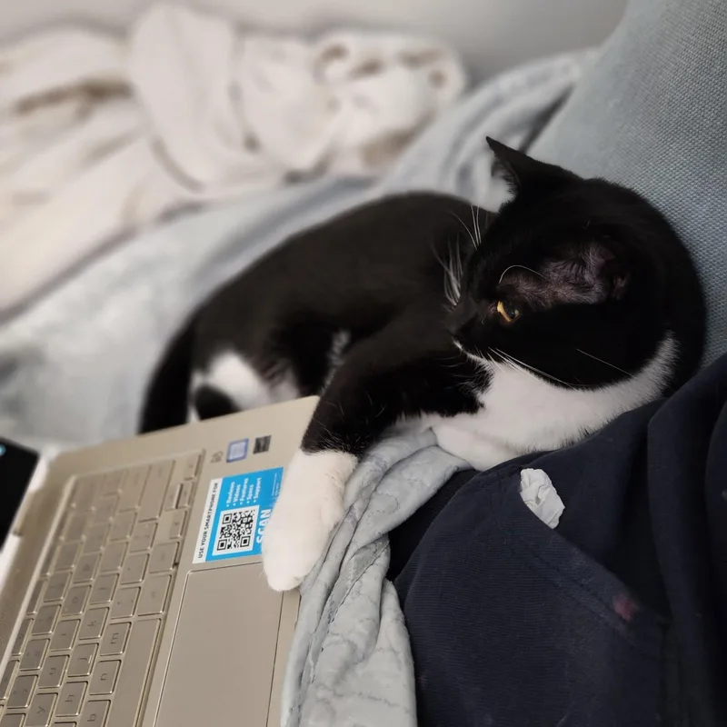 Charles Leclerc thumbnail 3