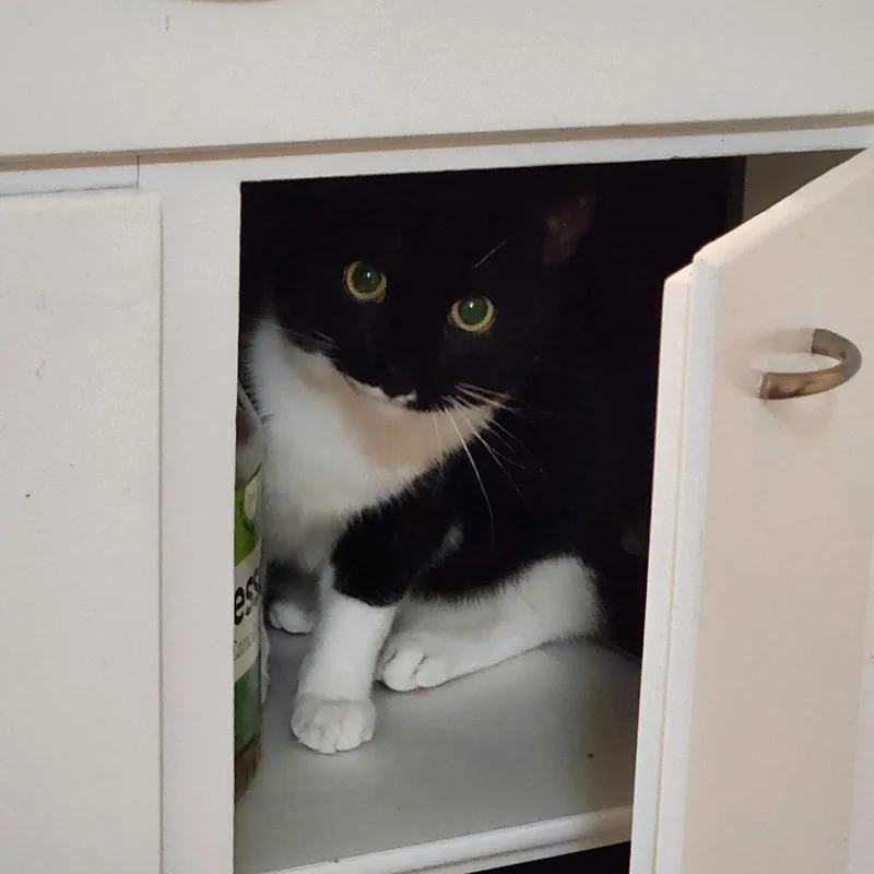 Charles Leclerc thumbnail 4