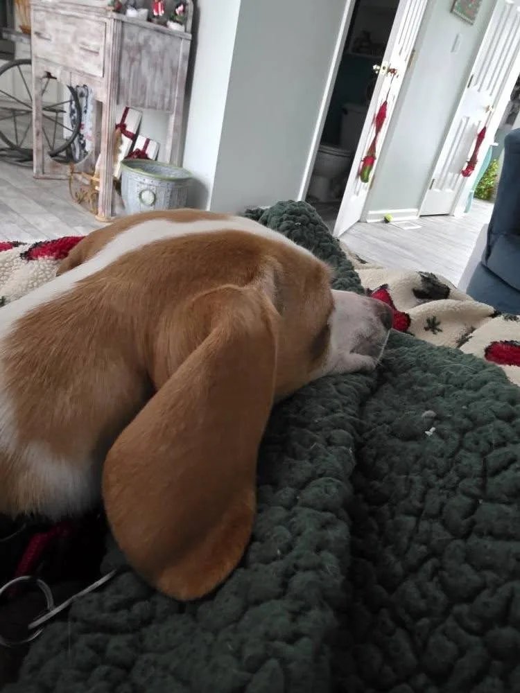 Milli Vanilli thumbnail 2