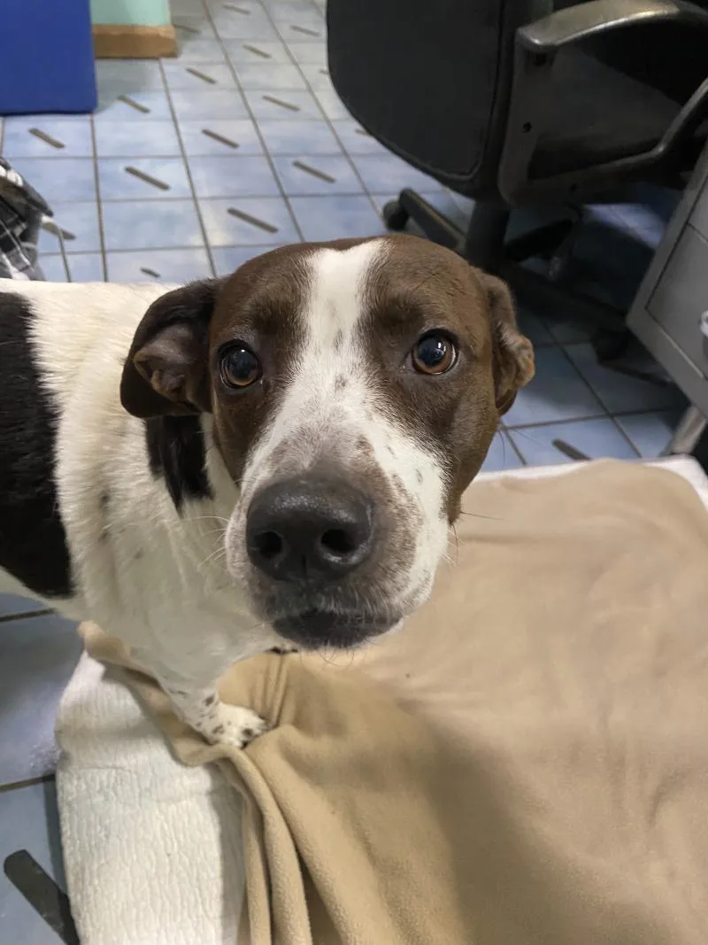 Penelope thumbnail 2