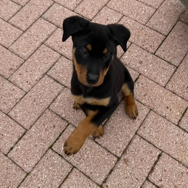 Blizzard thumbnail 2