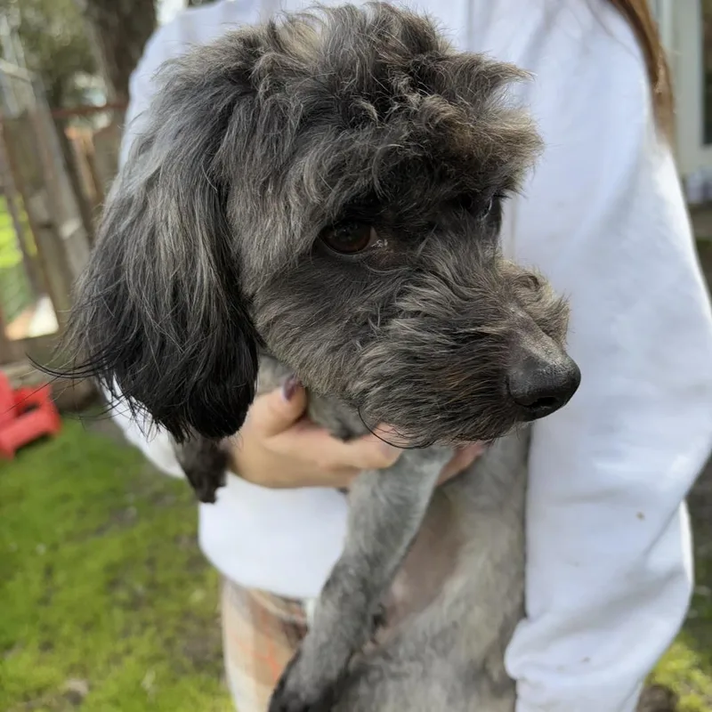 Mr. Bebot thumbnail 3