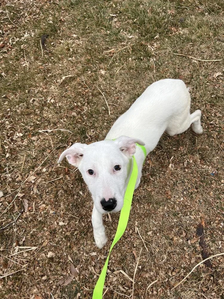 Sheridan thumbnail 5