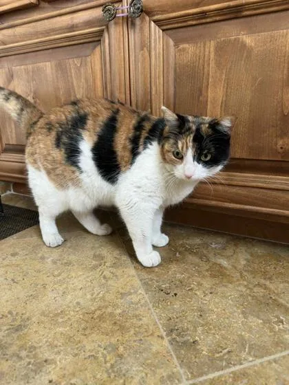 Hey Girl thumbnail 2