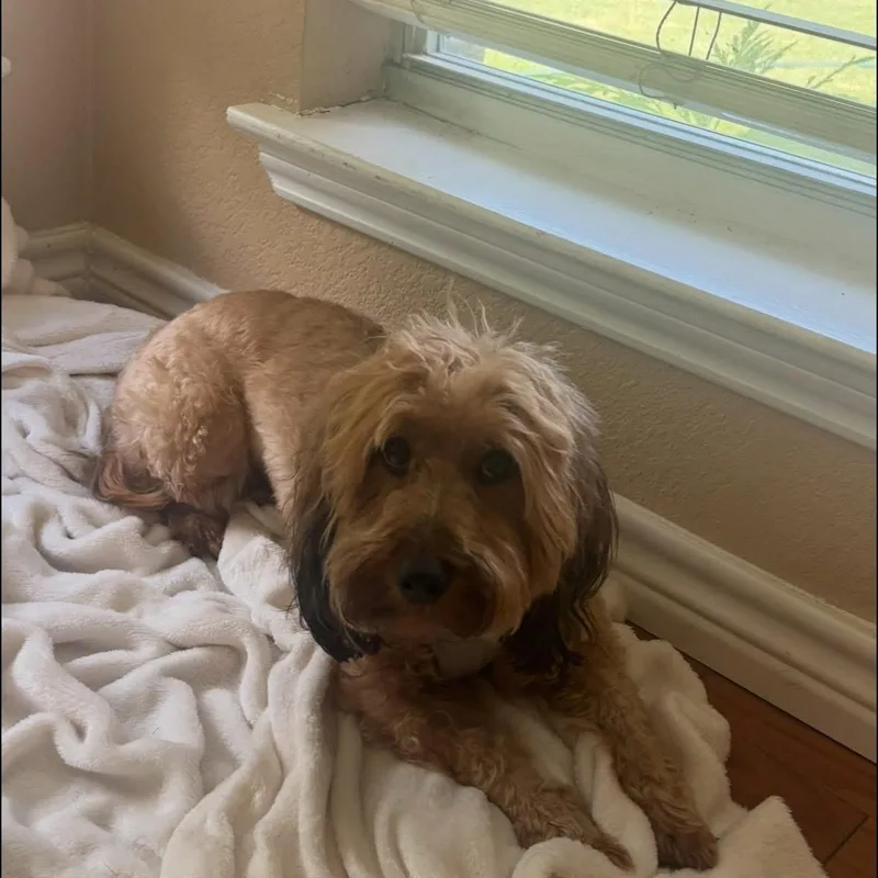 Teddy Valentine thumbnail 2