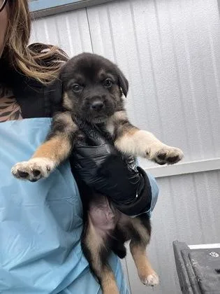 Woolipop thumbnail 2