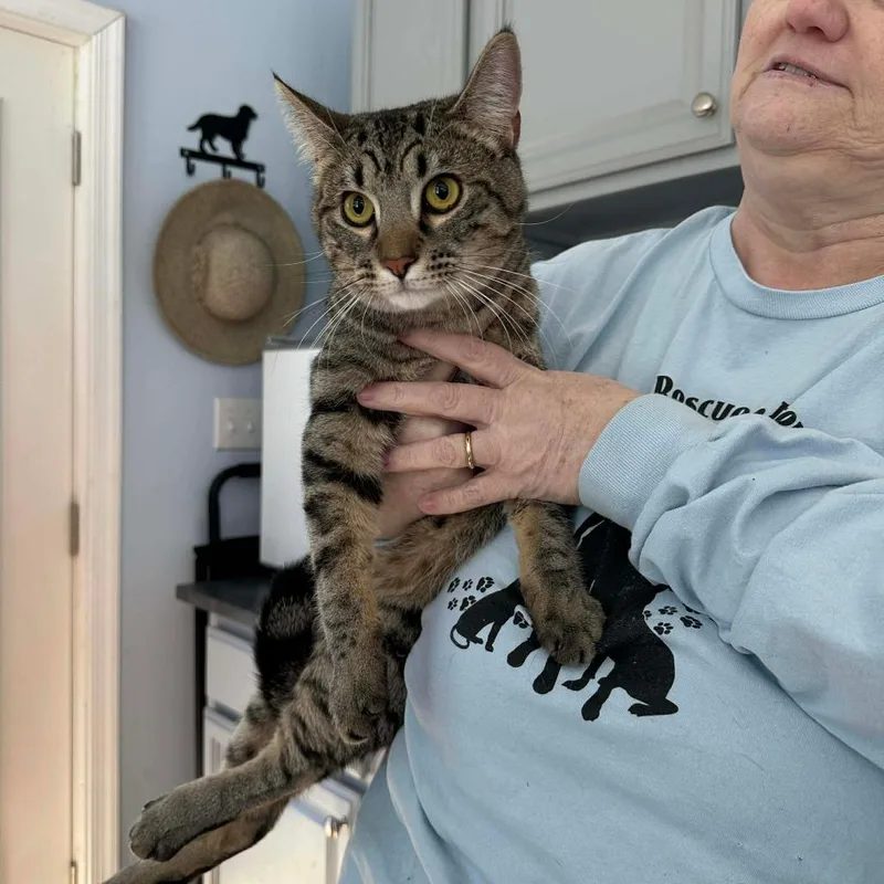 Little Man thumbnail 2