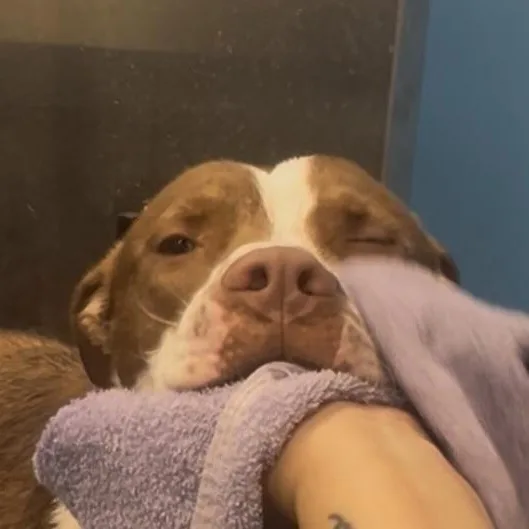 Earllocal thumbnail 2