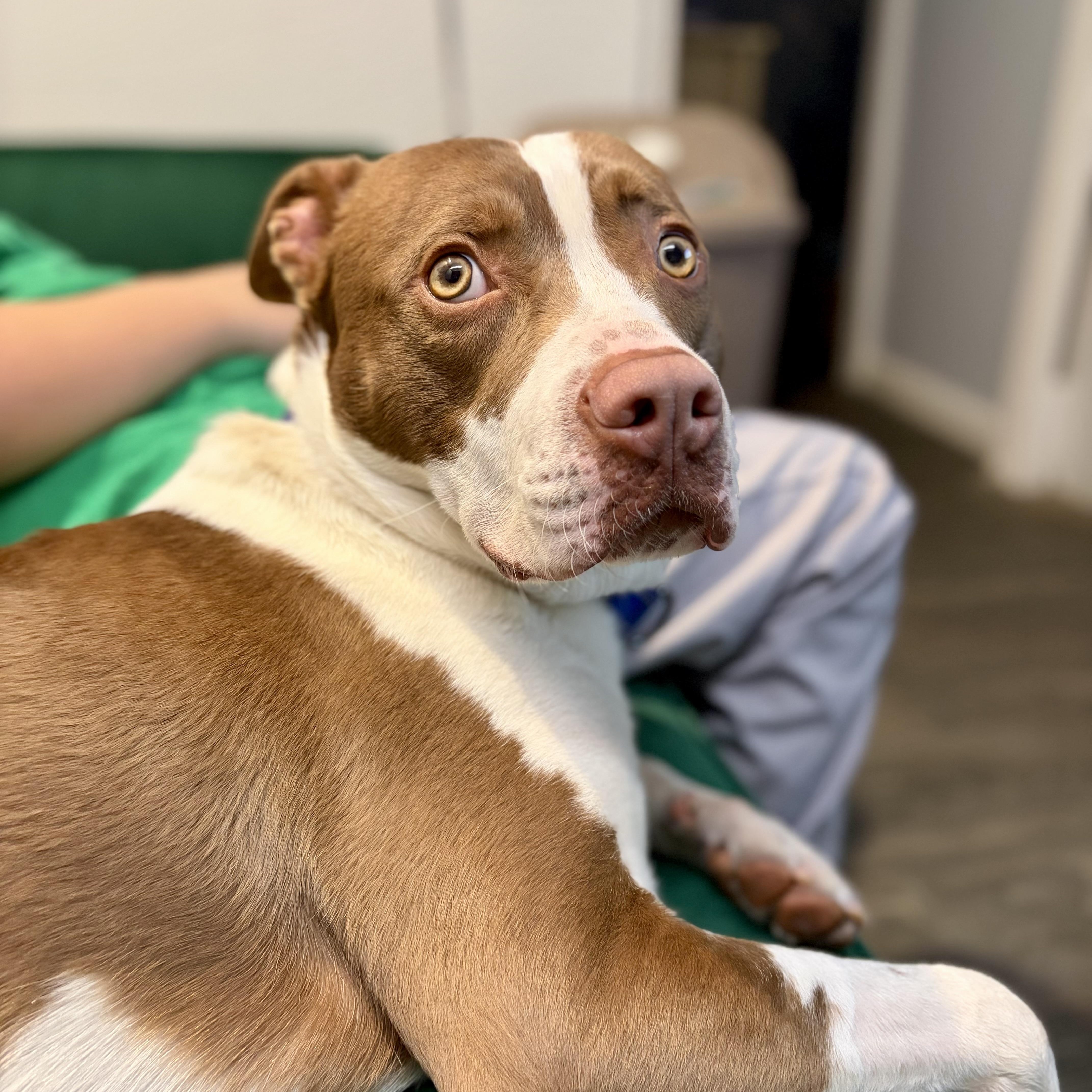 Earllocal thumbnail 3