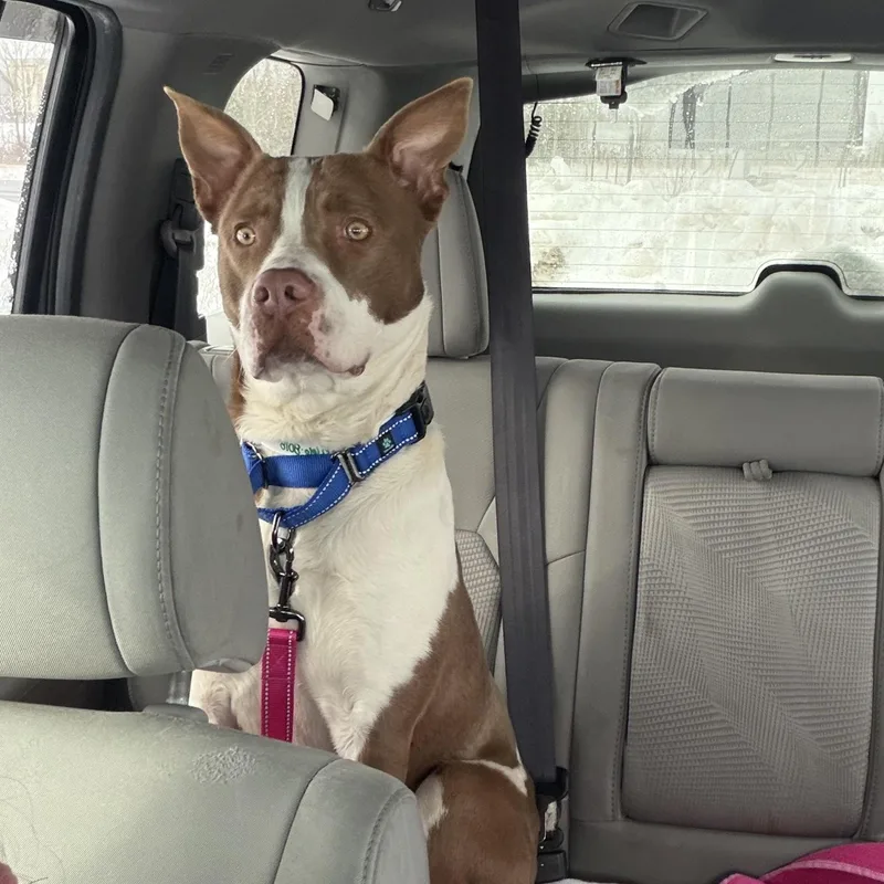 Earllocal thumbnail 5