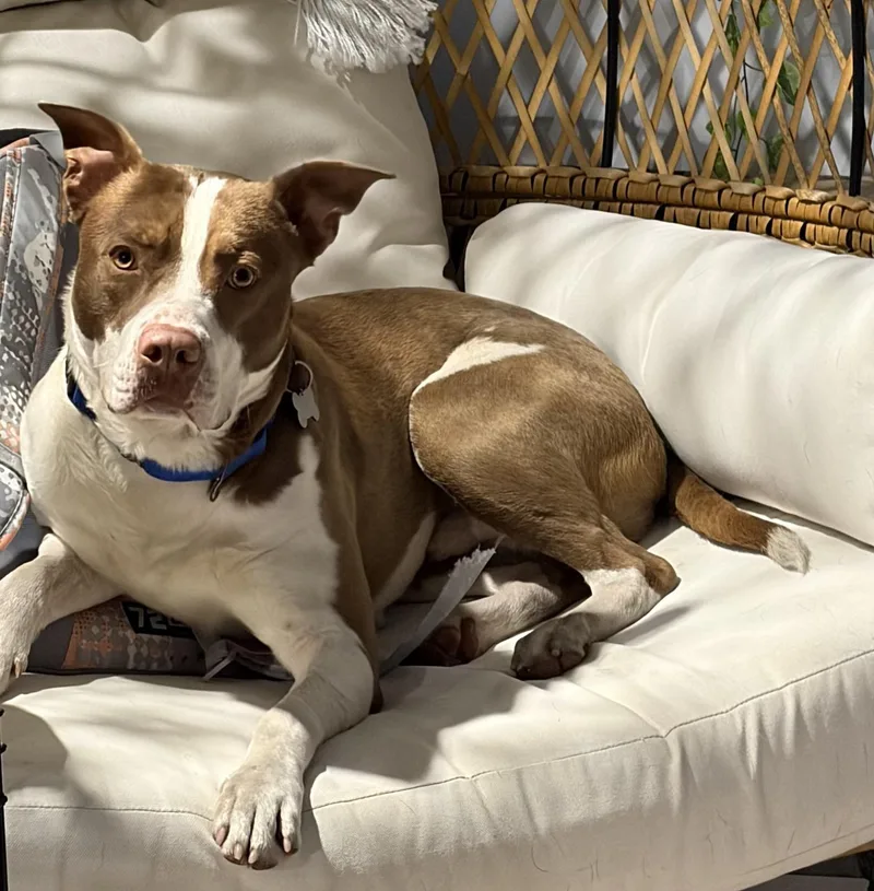 Earllocal thumbnail 6