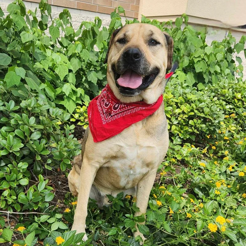 Finn Aka Gage Jum thumbnail 2