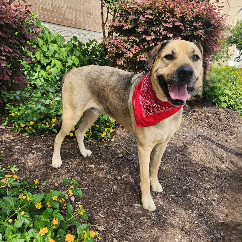 Finn Aka Gage Jum thumbnail 3