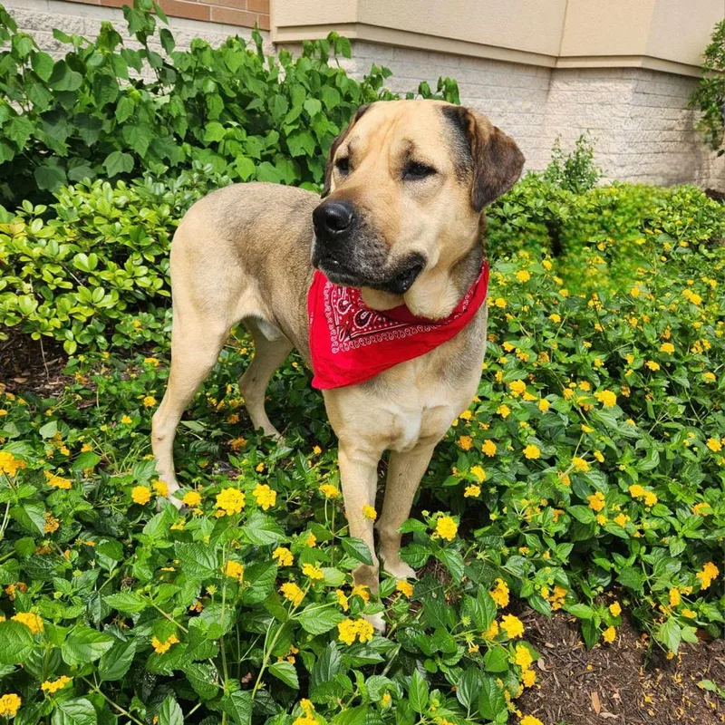 Finn Aka Gage Jum thumbnail 5