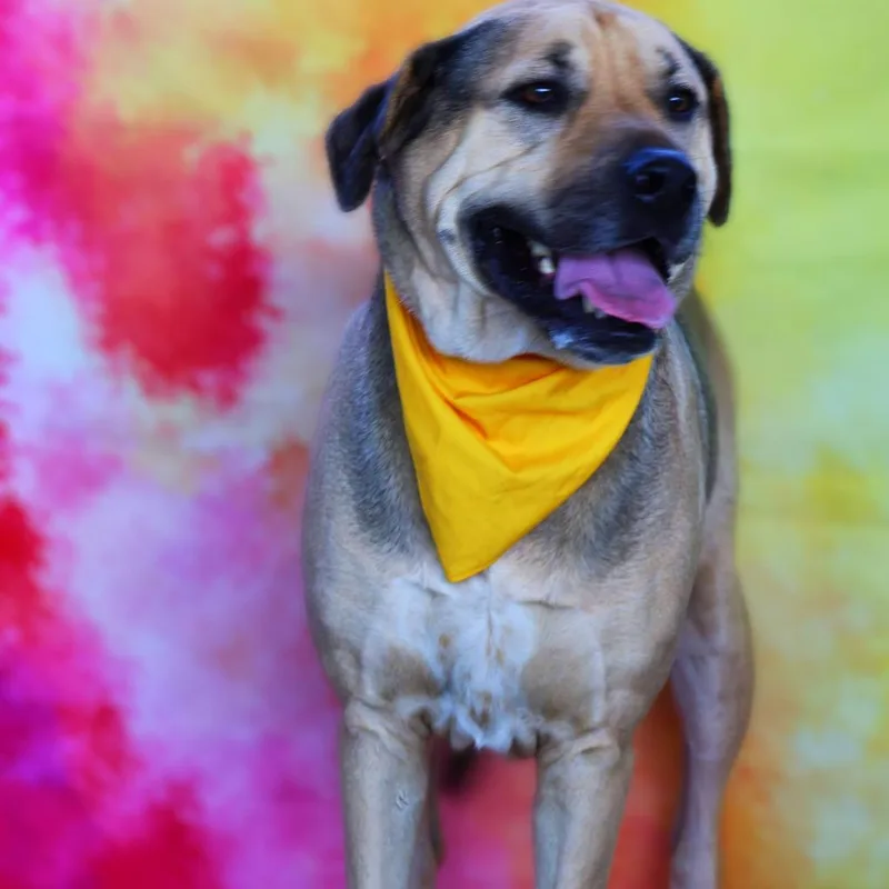 Finn Aka Gage Jum thumbnail 6