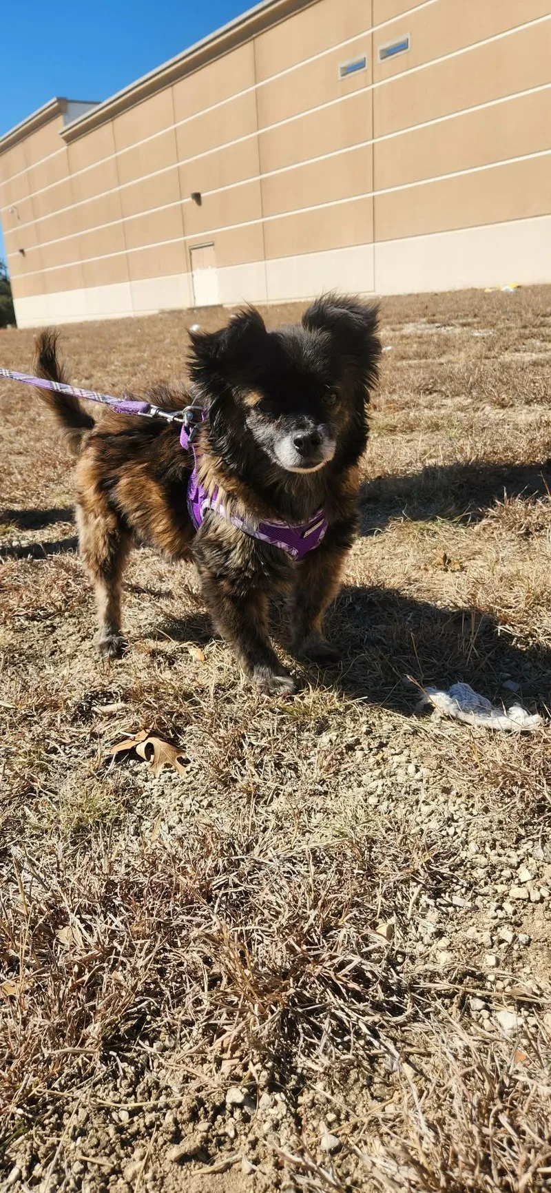 Keke Ejs thumbnail 2