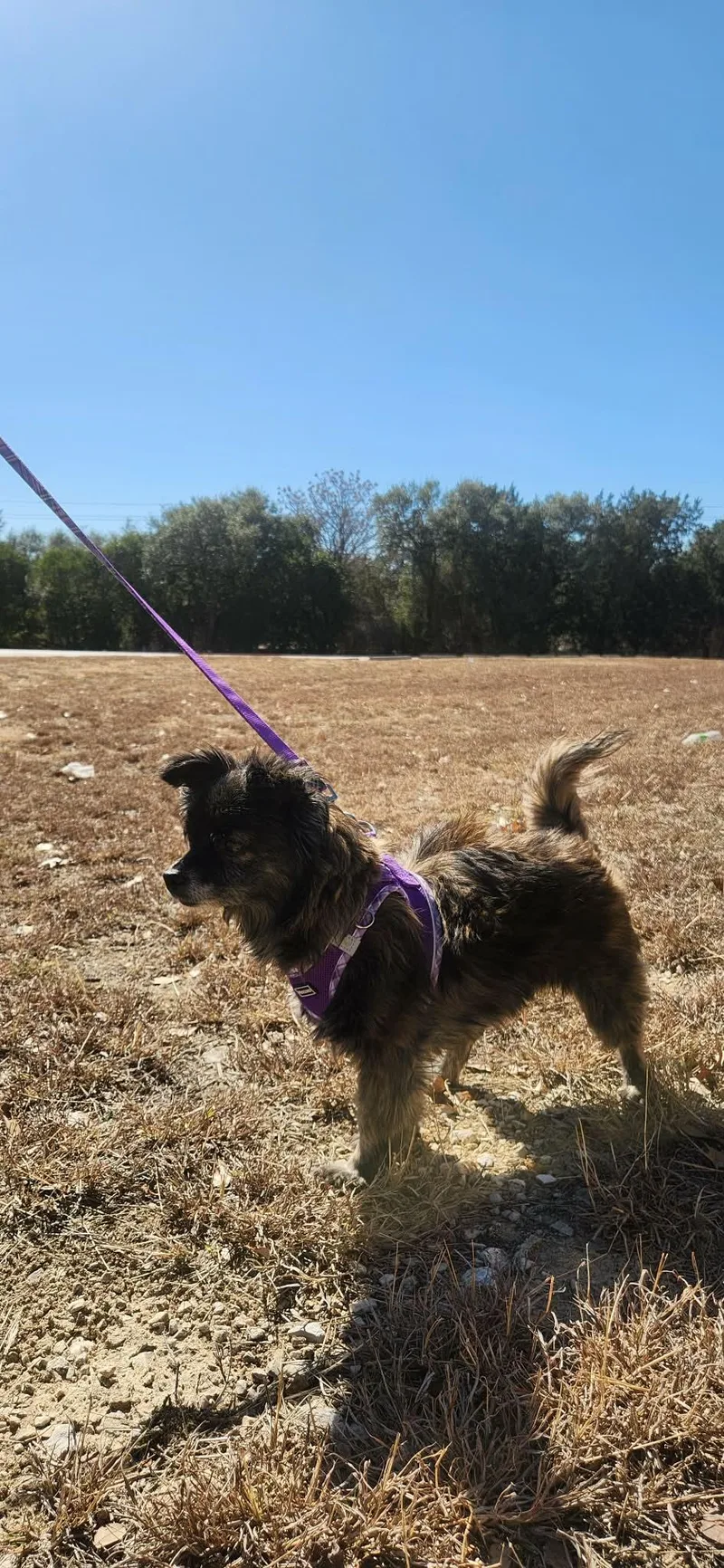 Keke Ejs thumbnail 3