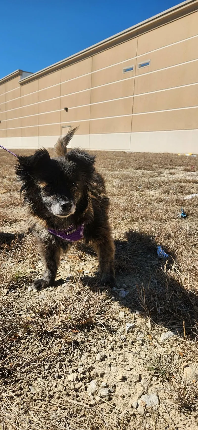 Keke Ejs thumbnail 4