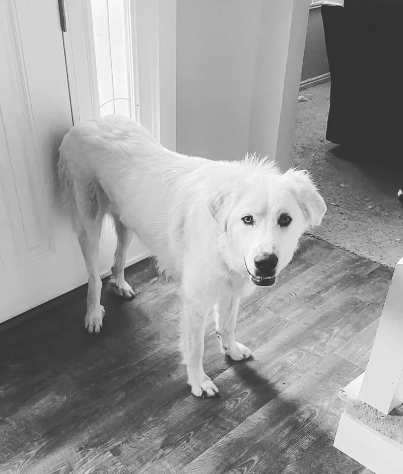 Co Tuesday thumbnail 2