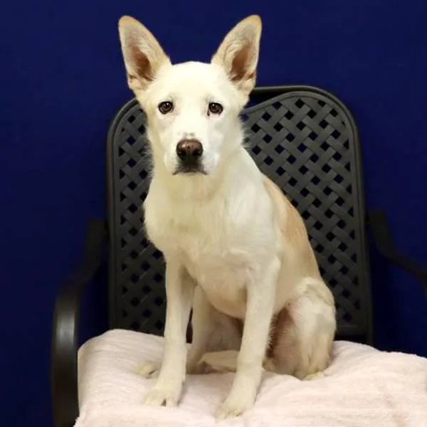 Princess Jill thumbnail 2