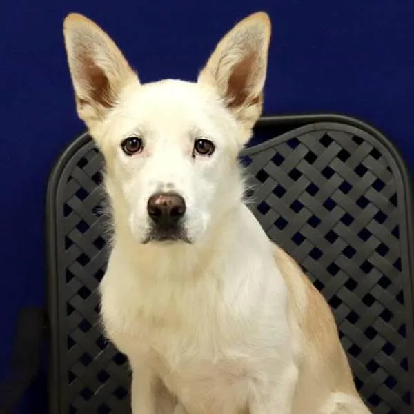 Princess Jill thumbnail 5