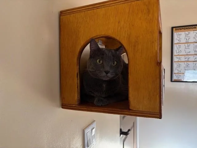 Mercedes thumbnail 2