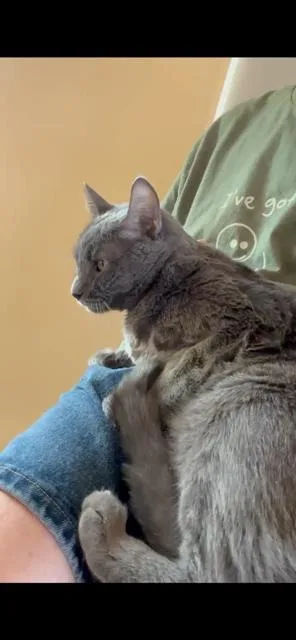 Mercedes thumbnail 3