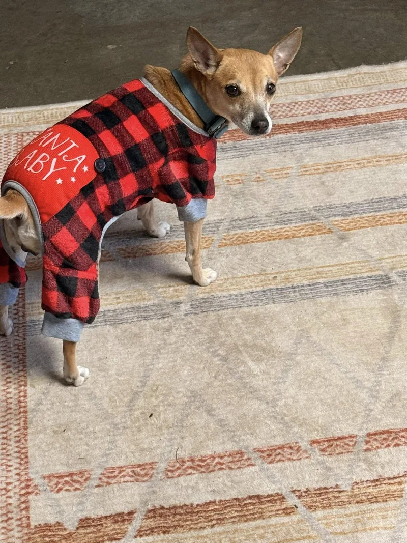 Sophie C thumbnail 2