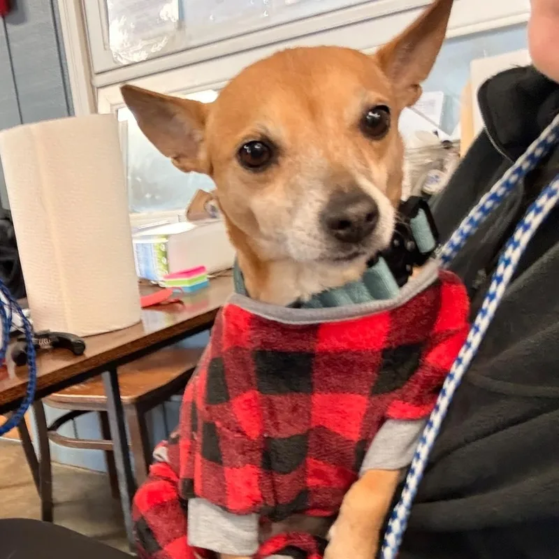 Sophie C thumbnail 3