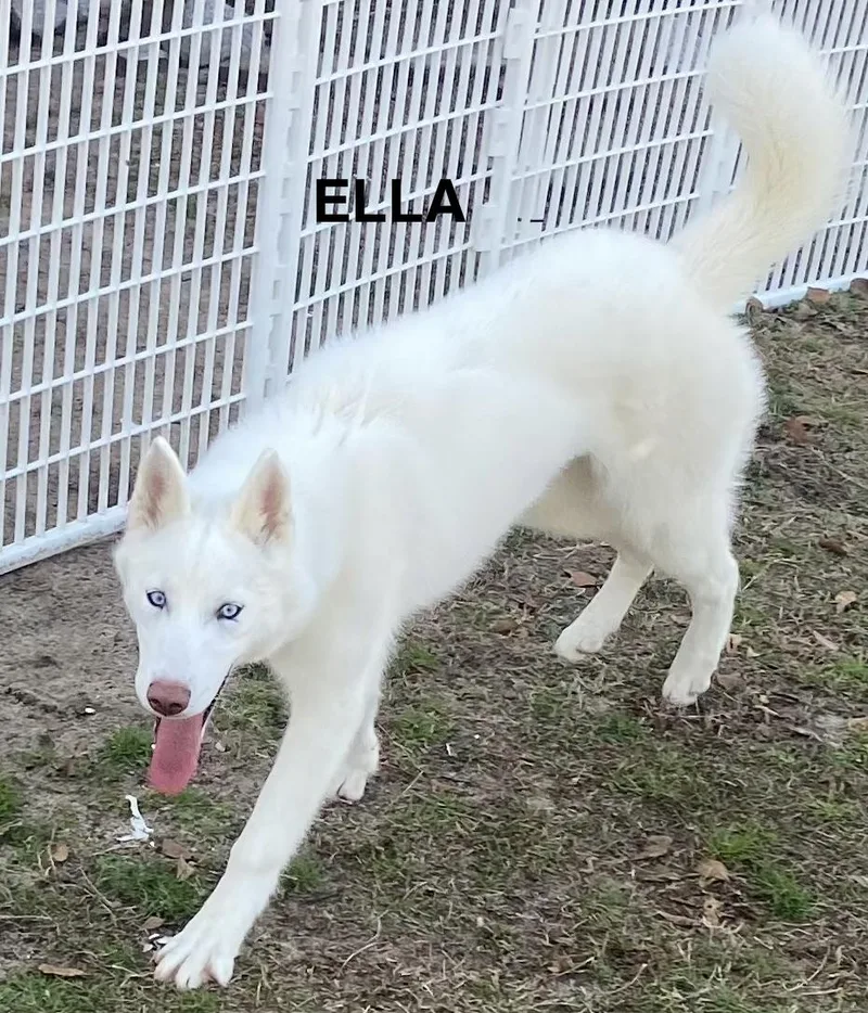 Ella Nieve thumbnail 3