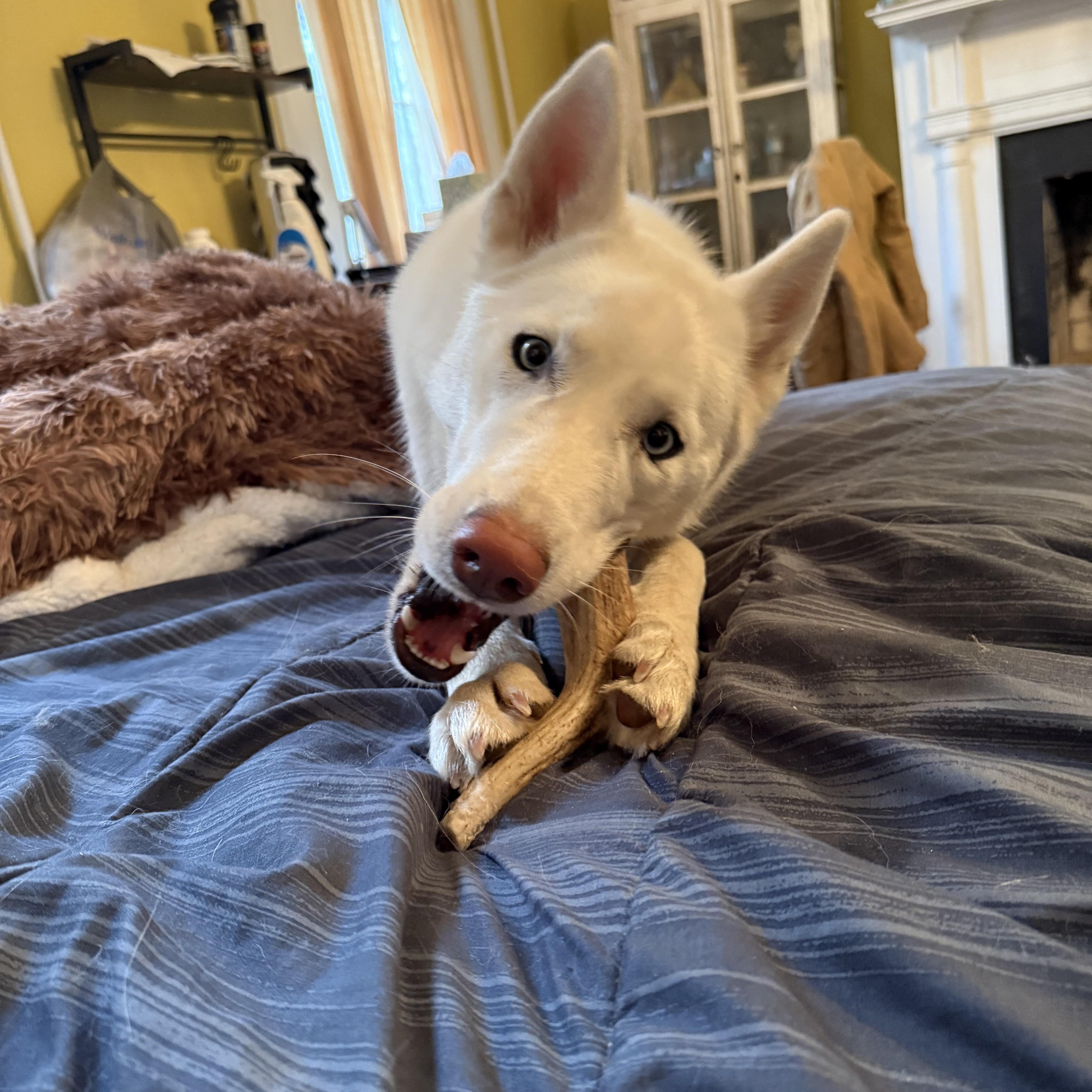 Ella Nieve thumbnail 4