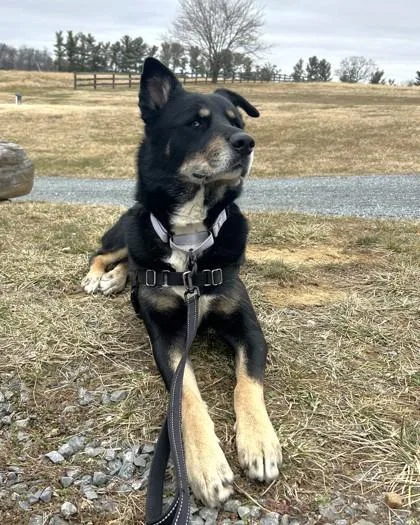 Little Boy thumbnail 2